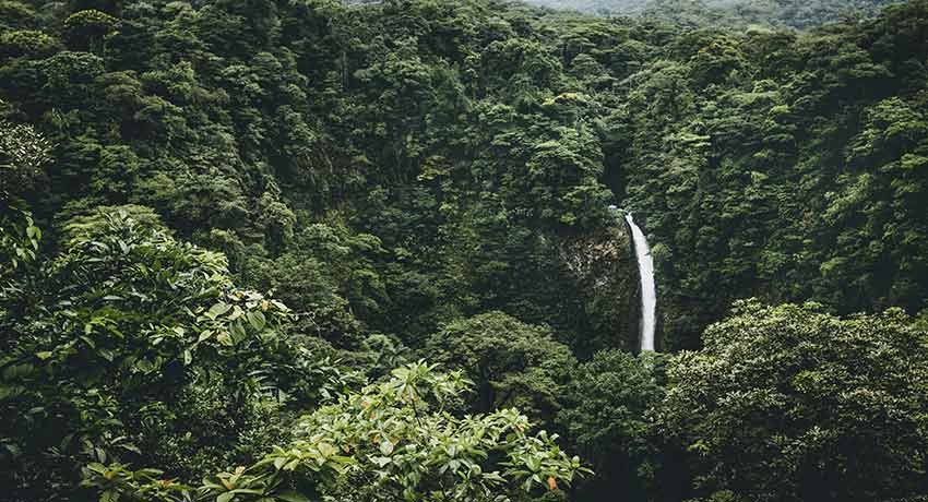 Cannabis Opportunities in the Prominent Markets of South America